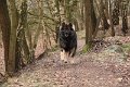 hajak-besuch (2)